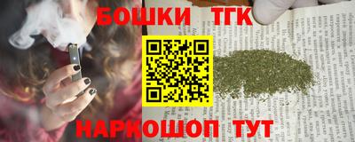 индика Бийск