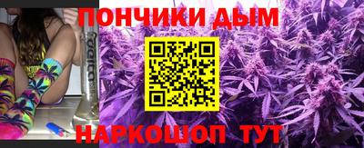 индика Бийск